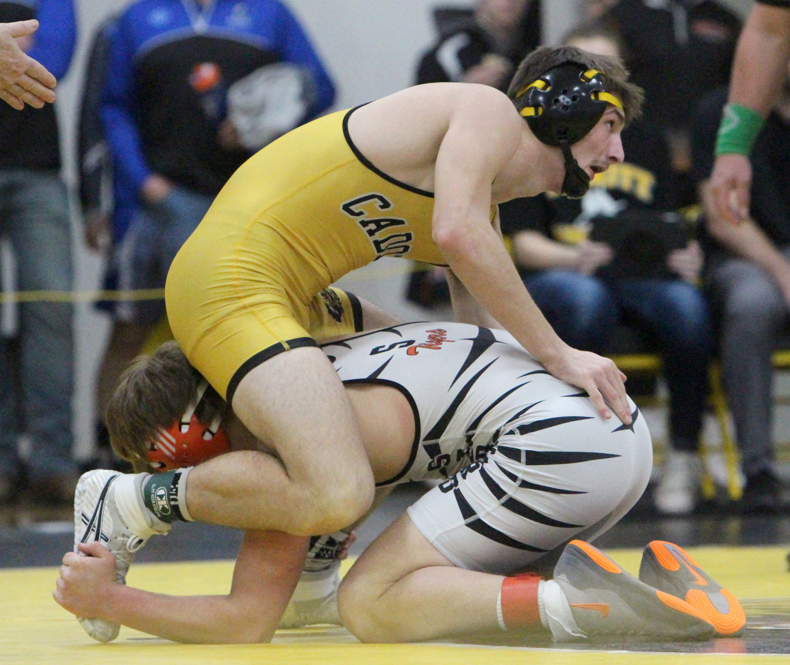 Division 3 Wrestling Regional at Cadott 2-15-20